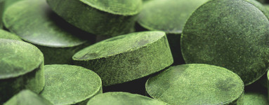 Chlorella