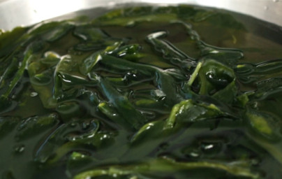 Wakame