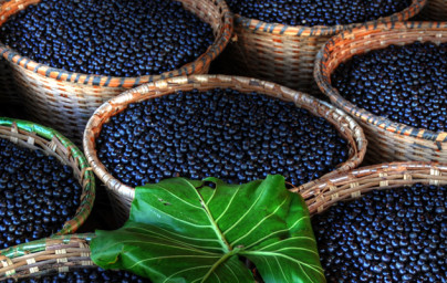 Zistite, prečo sú bobule acai silným antioxidantom