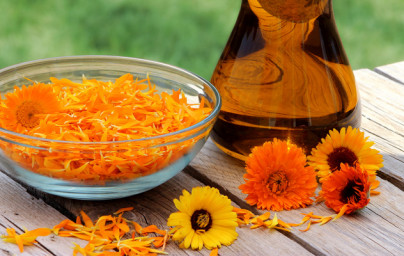 Nechtík (Calendula officinalis)