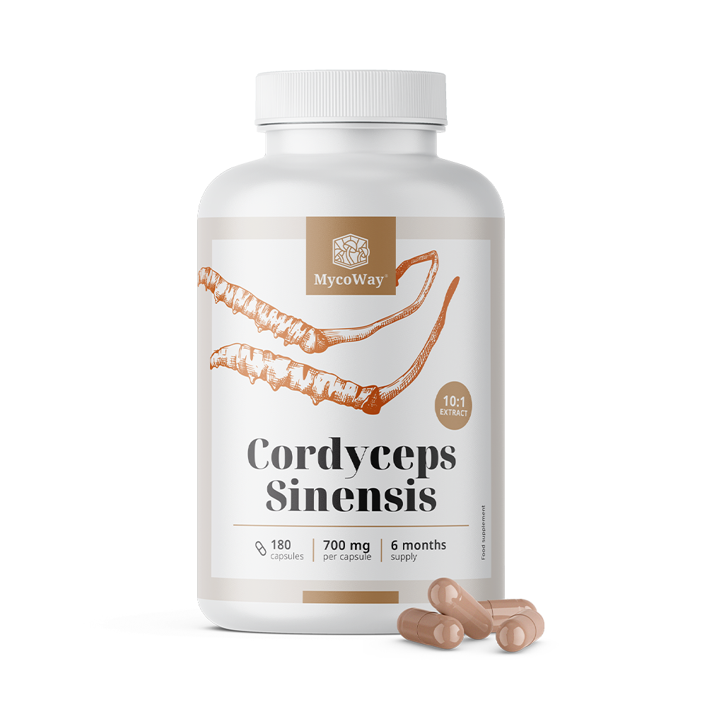 Cordyceps sinensis 1400 mg - extrakt 10:1