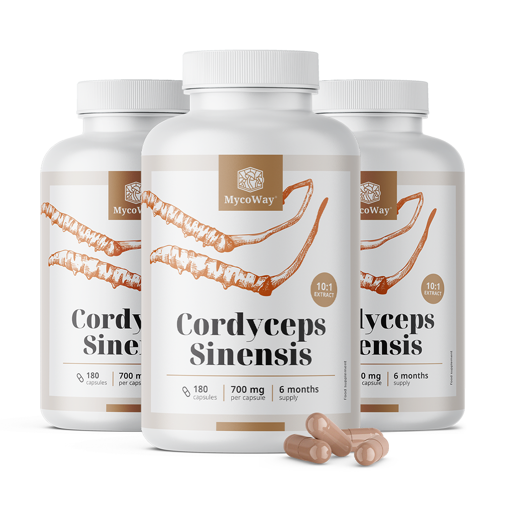  Cordyceps sinensis 1400 mg – extrakt 10:1