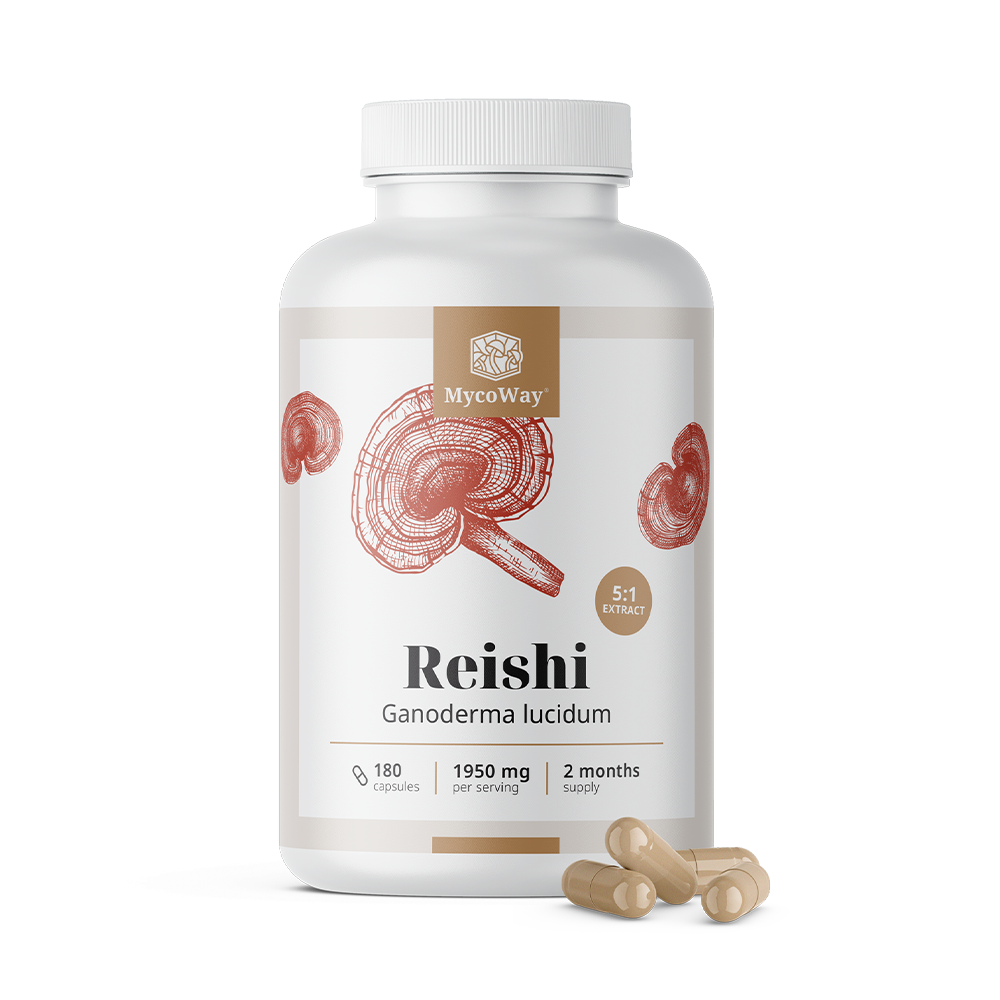 Reishi 1950 mg - extrakt 5:1