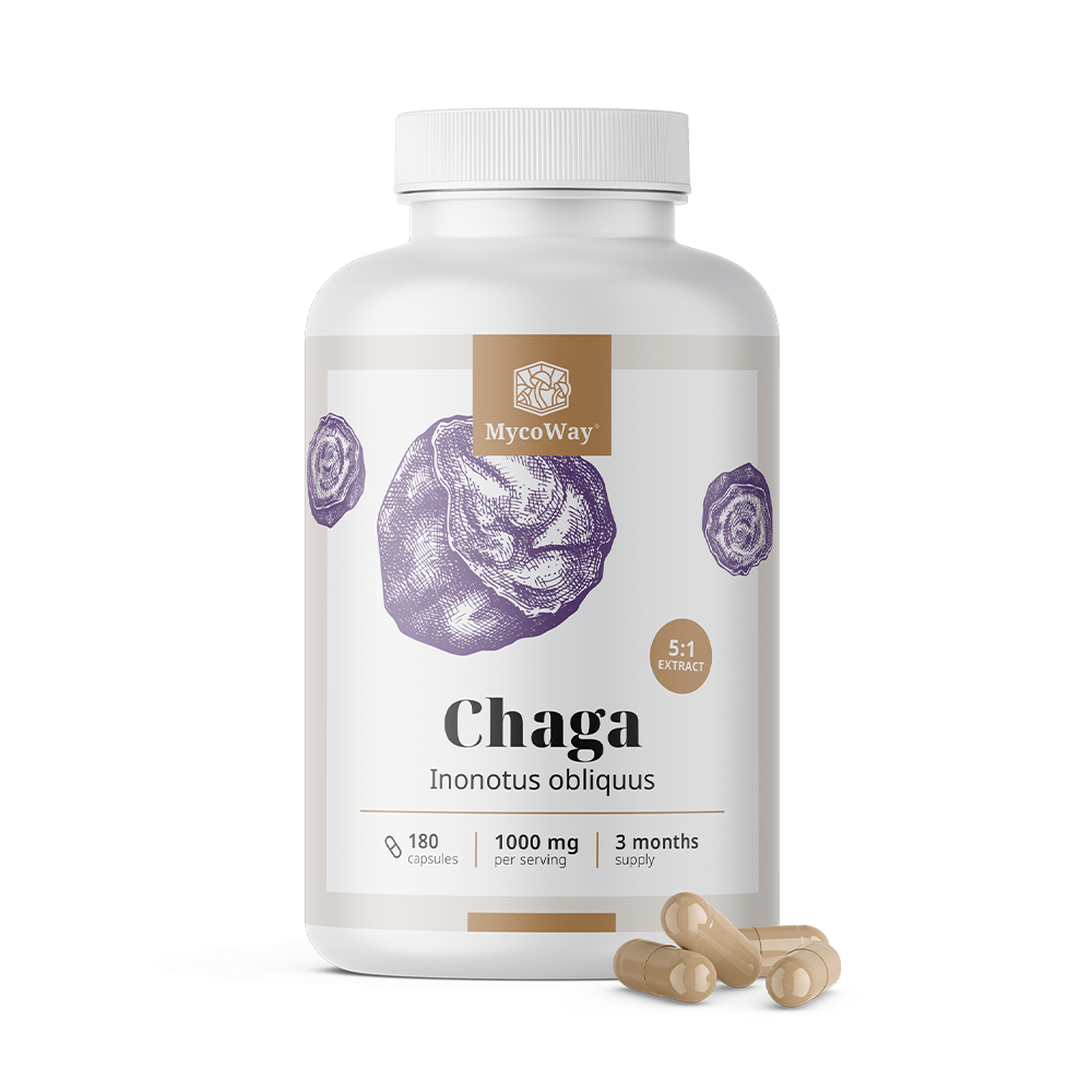 Chaga 1000 mg – extrakt 5:1