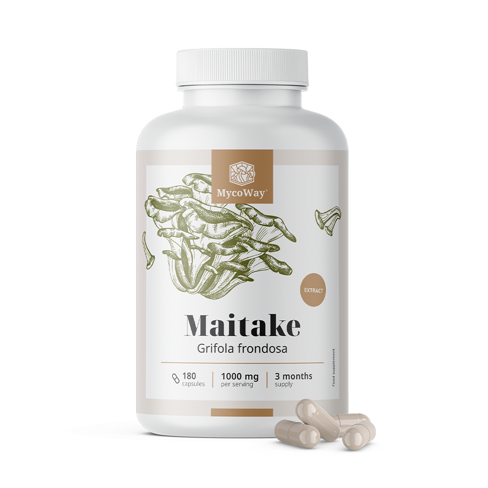 Maitake 1000 mg – extrakt