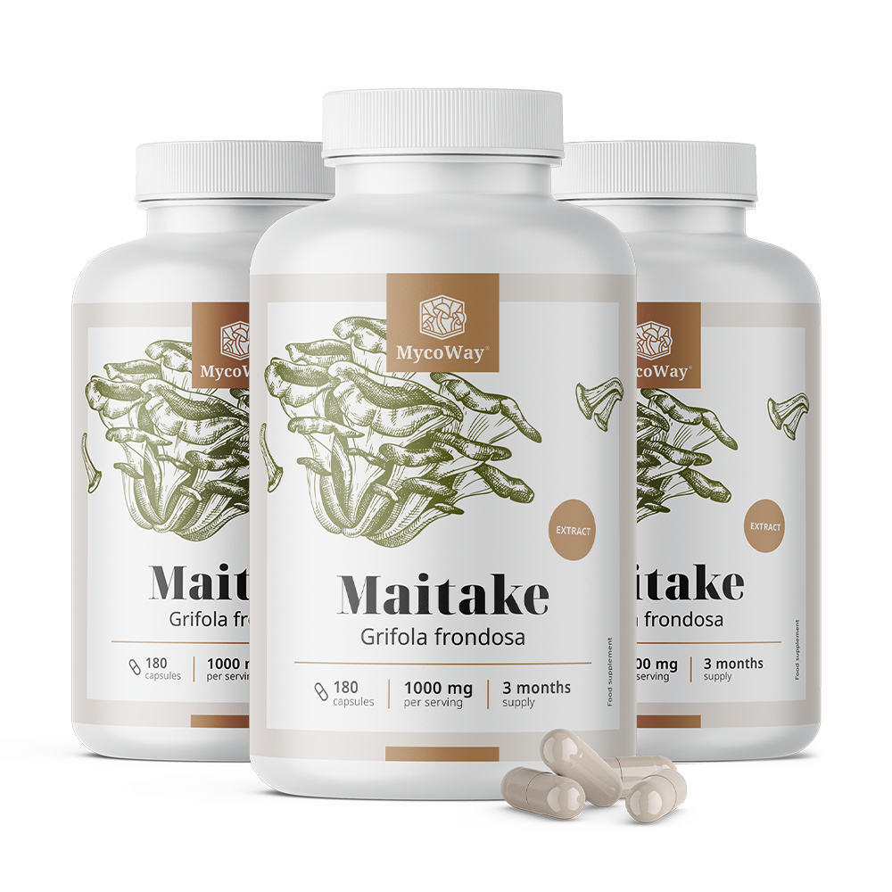 Maitake 1000 mg – extrakt