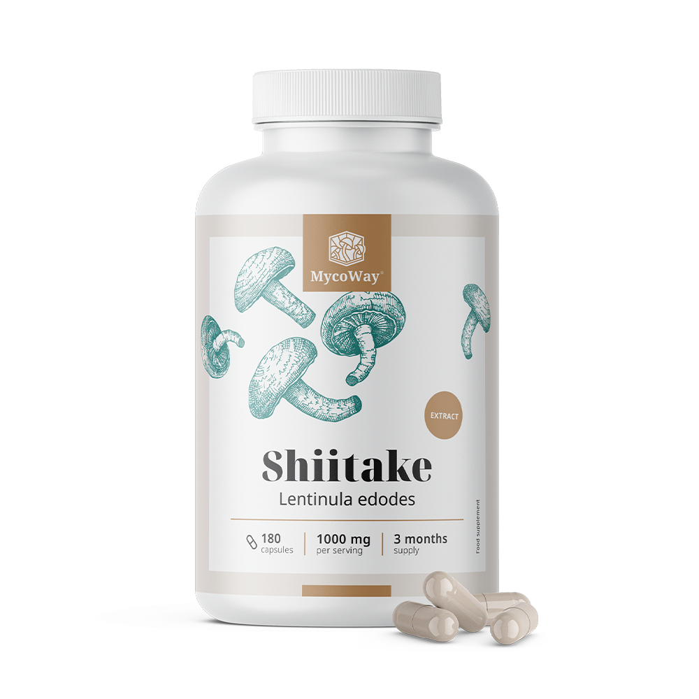 Shiitake 1000 mg - extrakt