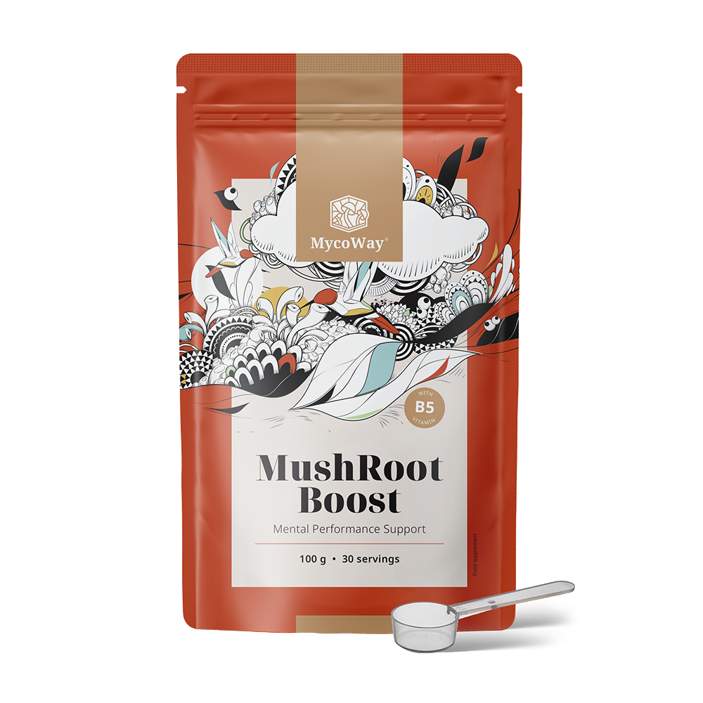 MushRoot Boost - nápoj pre mentálnu výkonnosť