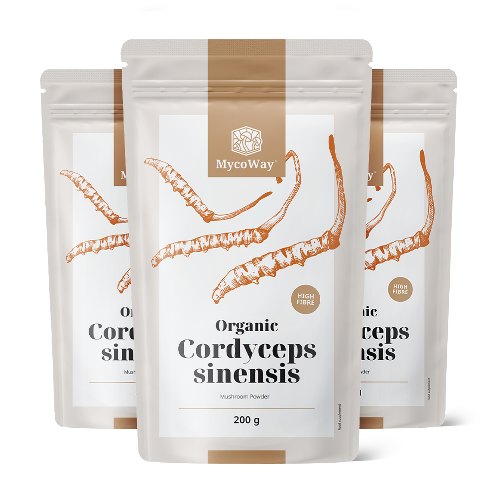 BIO Cordyceps sinensis vo forme prášku